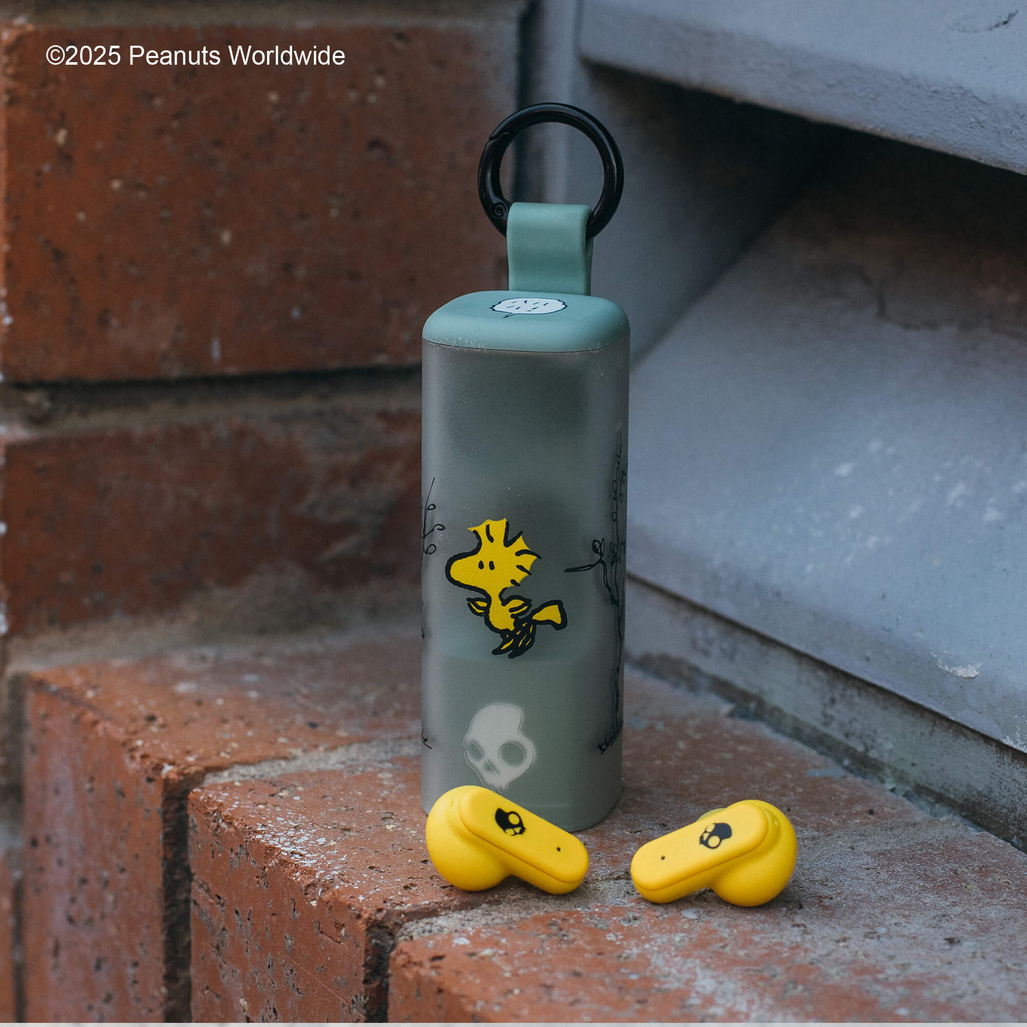 Product image 110
